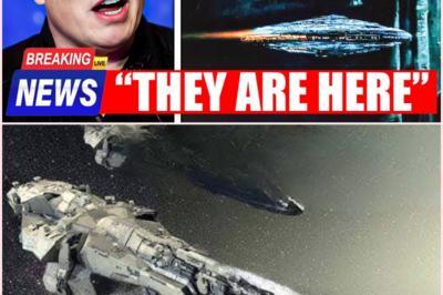 🔥 “This Changes Everything” — Musk Reveals Disturbing New Data on ‘Oumuamua’s Strange Return
